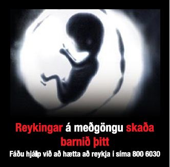 Iceland 2013 ETS baby - targets pregnant women